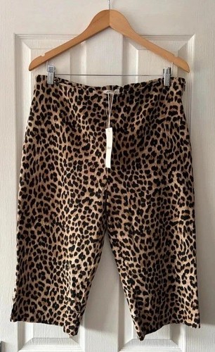 Albaray brown animal leopard